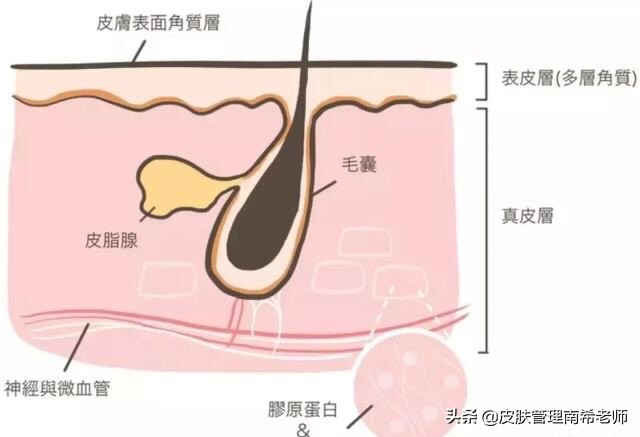 毛孔粗大怎么办50岁,16岁皮肤毛孔粗大怎么办呢