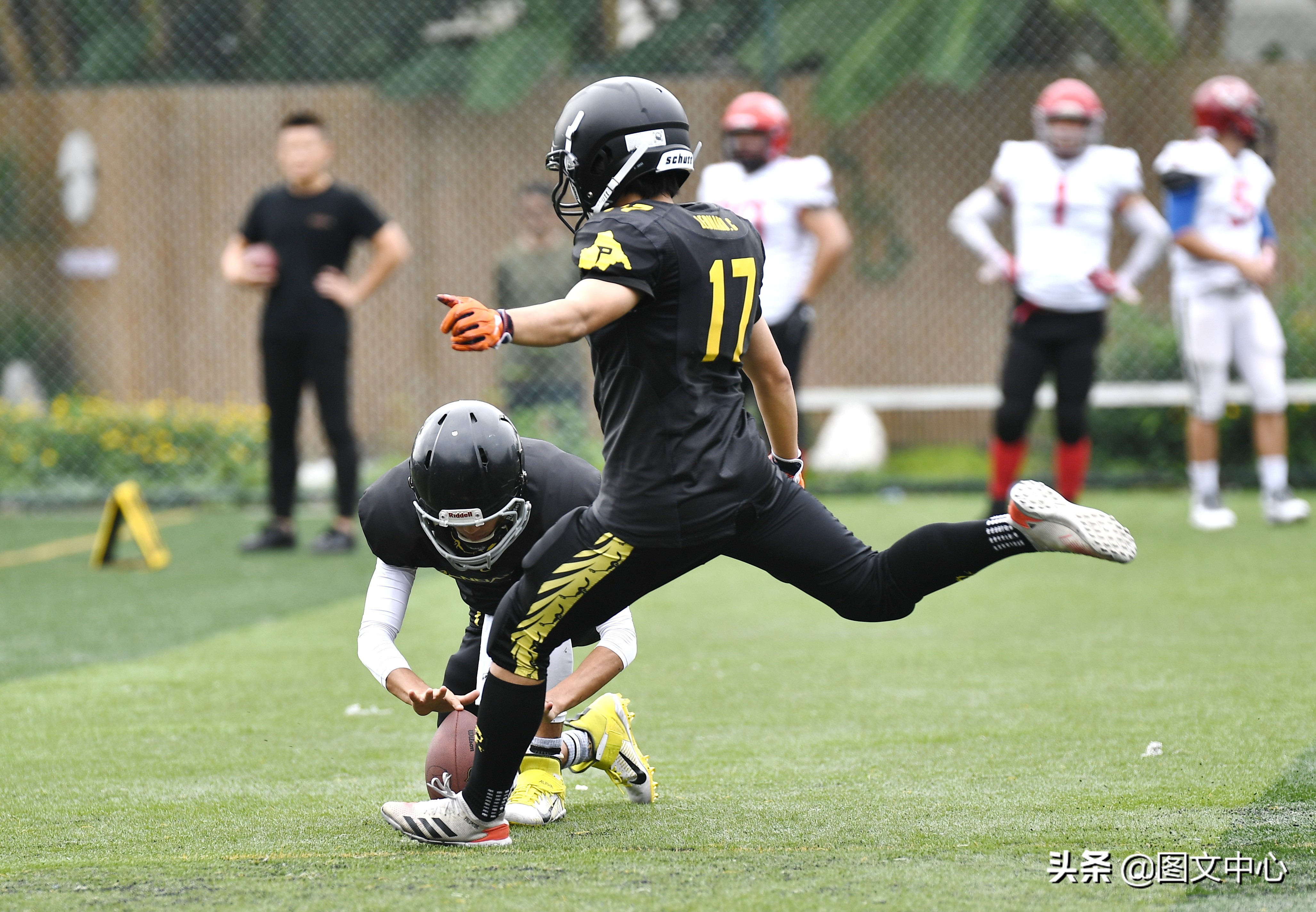 cnfl中国橄榄球联赛官网,cnfl橄榄球队伍