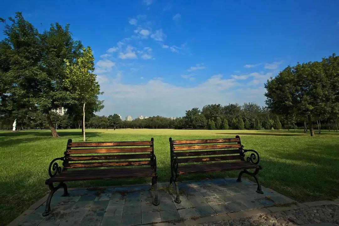 天津游玩攻略小众景点大全,天津免费景点游玩攻略大全