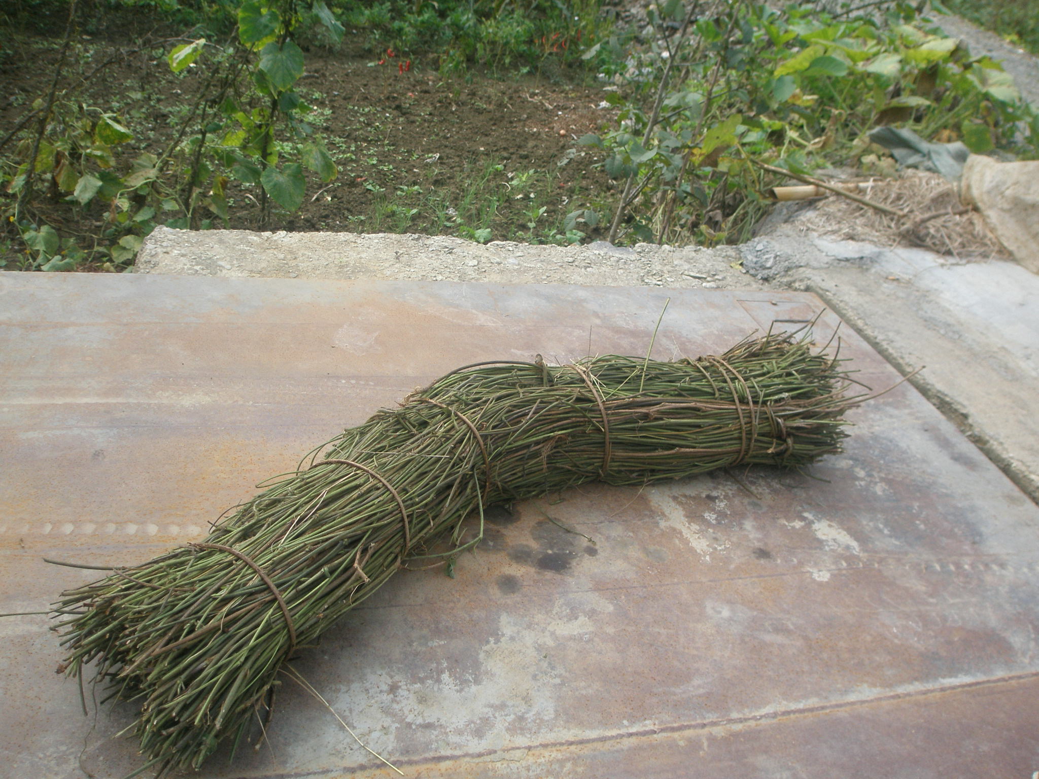 秦楚古道一日游攻略,秦楚古道自驾游攻略