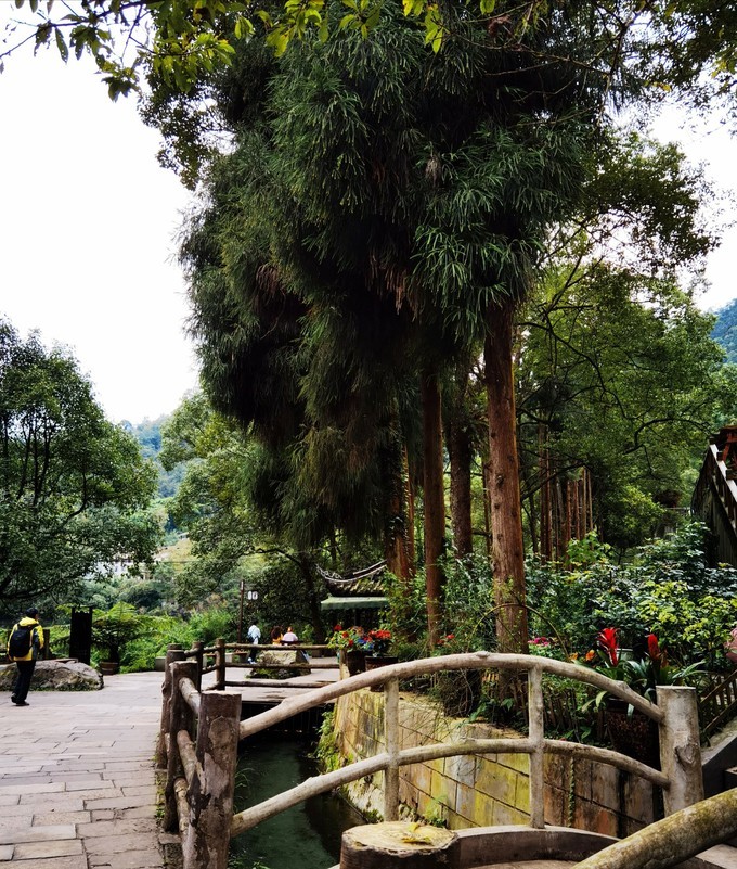 深秋峨眉风光好——「清音阁/金顶/红珠山温泉」三日行