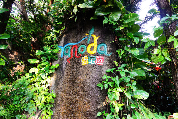 海南呀诺达热带雨林文化旅,三亚诺达雨林旅游攻略