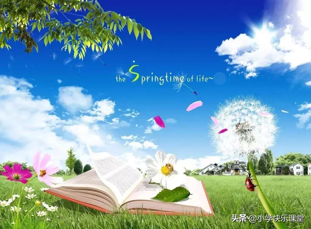 小学作文写作方法与技巧与范文,小学作文写作方法与技巧模板大全