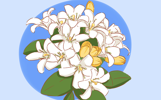 闺蜜礼物推荐生日礼物diy,好看实用又简单的闺蜜礼物