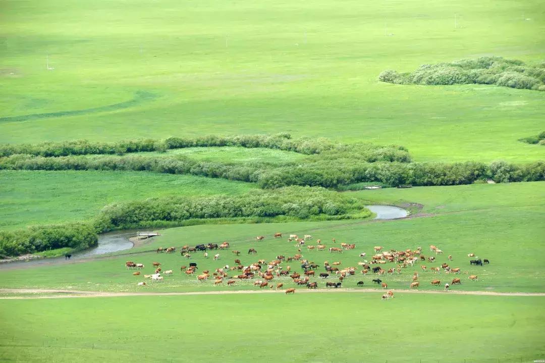 内蒙古乌拉盖地图,内蒙古乌拉盖位置