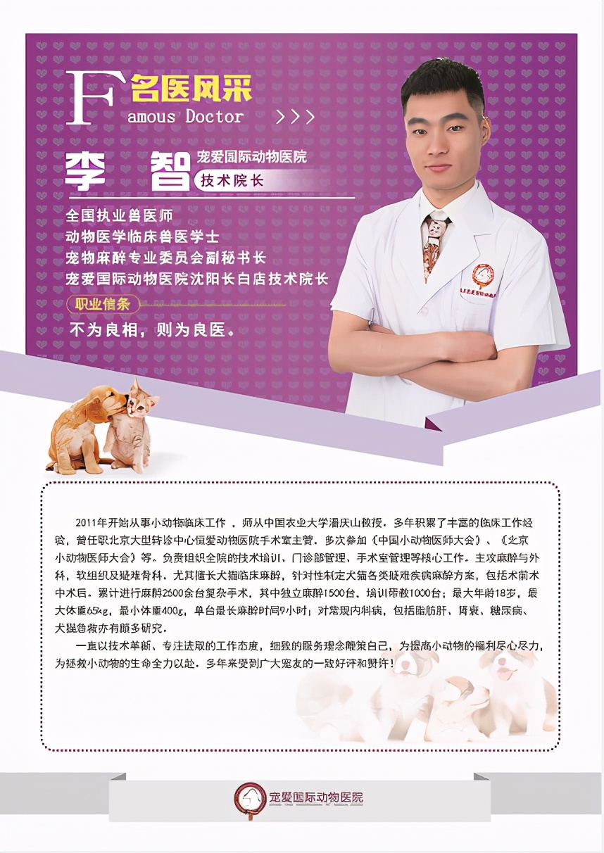 如果狗狗不慎被咬伤，作为家长该怎么办？