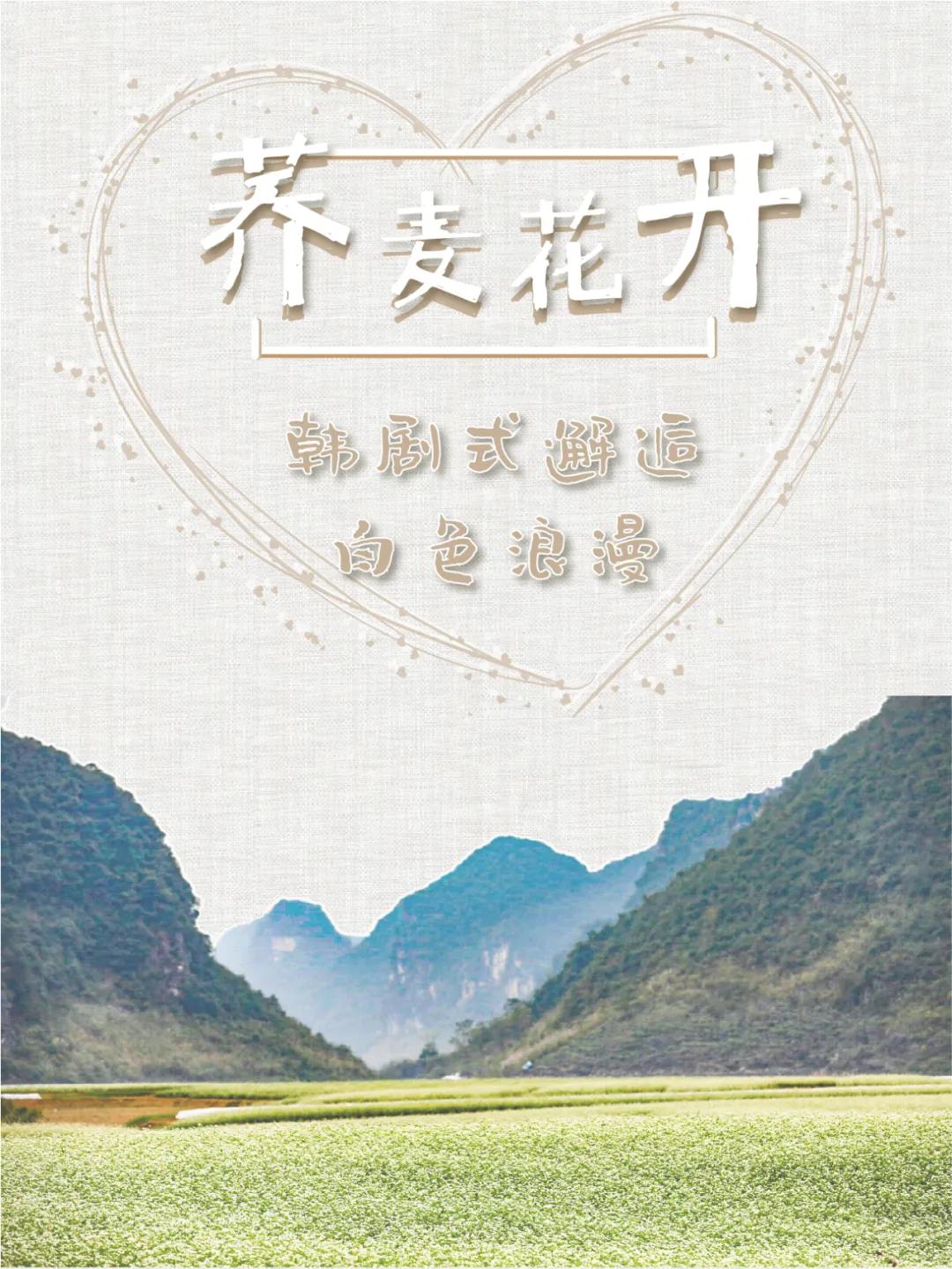 广西这片地方，美如仙境，万里雪白花海，春去旅居好去处