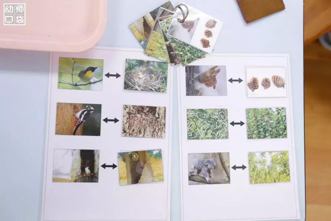 空间小、经费不足、面临*迁拆**，这家幼儿园却给出了满分的环境