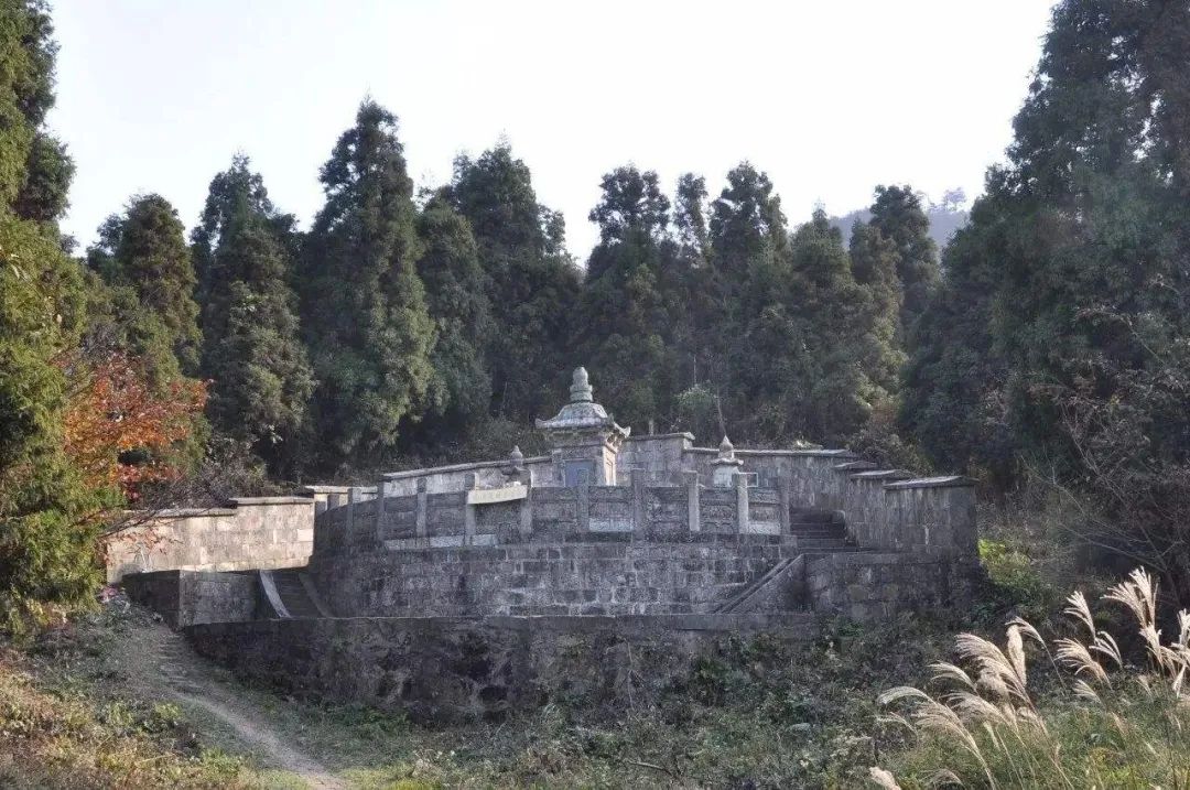 浼炲眳鎺ㄨ崘,浼炲眳浠锋牸