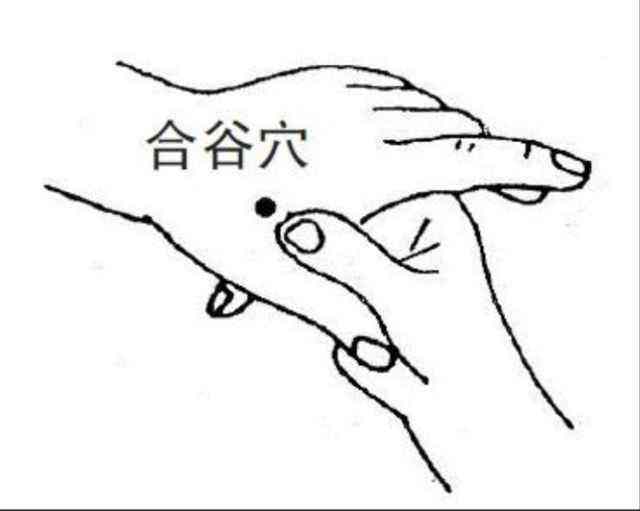 怎样祛湿气又好又快,怎么除湿气又快又有效