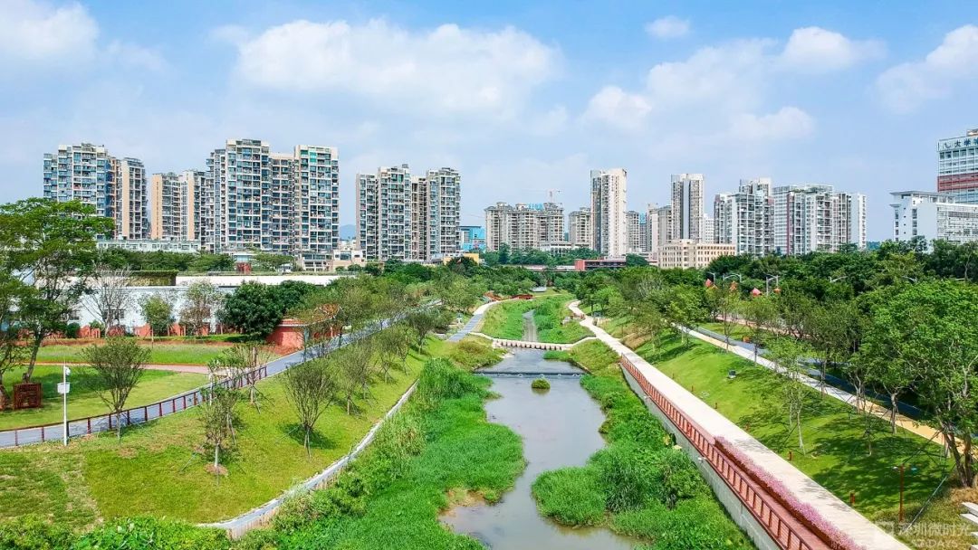 盼了1年！南山新地标“塞纳河”惊艳露面