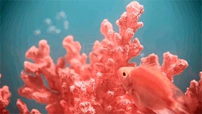 钱得花在刀刃上男生,钱得花在刀刃上谁说的