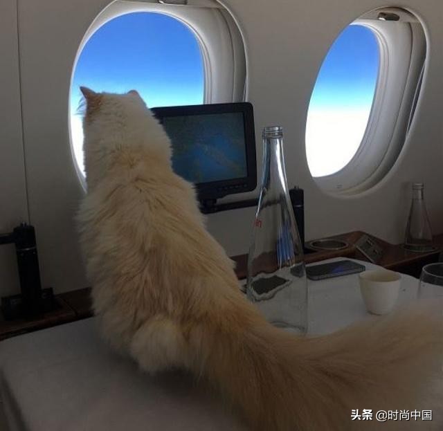 买不起香奈儿包包还可以买什么,买不起系列香奈儿