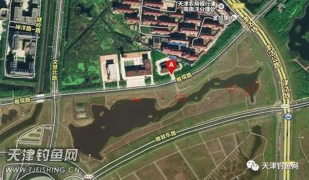 津南大学城，还是原来的地方，还是原来的味道