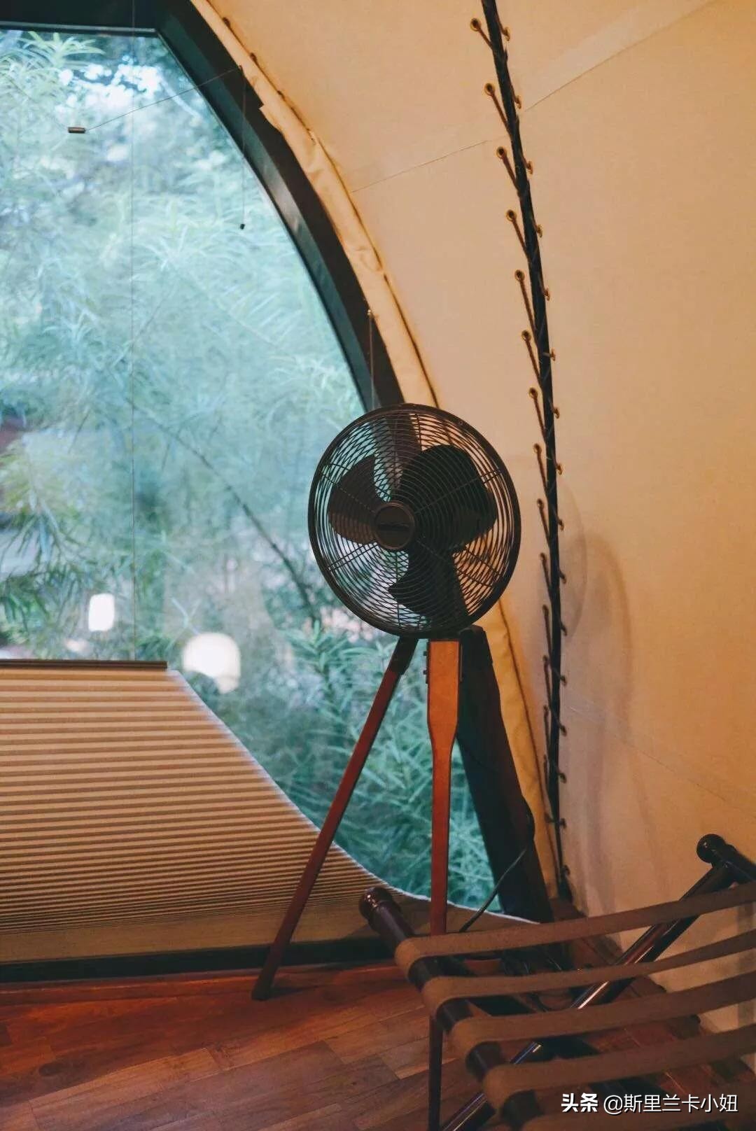 斯里兰卡带孩子游玩,斯里兰卡安缦