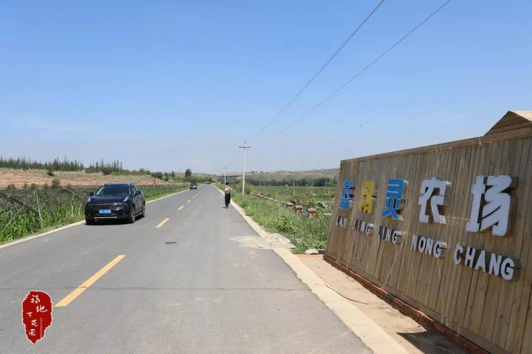 张家口市洋河河道,洋河风景
