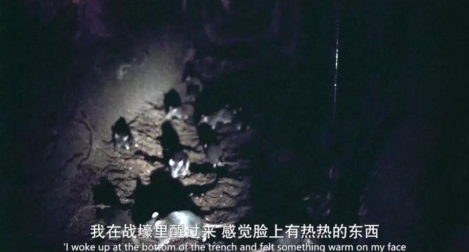 人不能被忘记的电影,不该被遗忘的人永远都不会被忘记