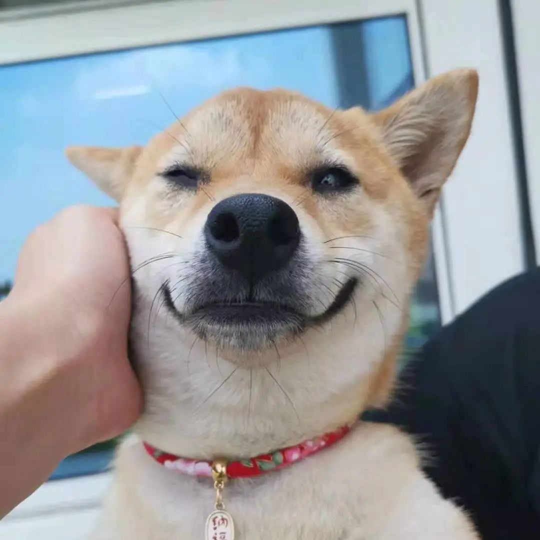 打卡番禺市桥三堂,打卡广州100家美食