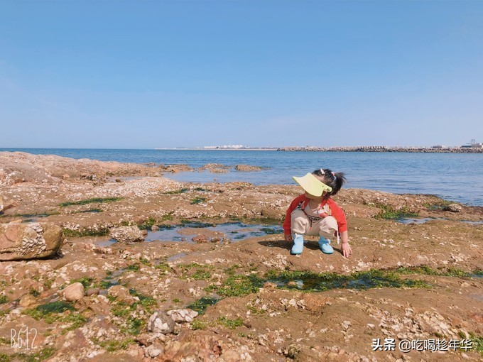 鲅鱼圈最新的旅游攻略,鞍山出发到鲅鱼圈旅游攻略