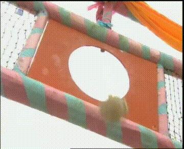 一脚定江山张俊换球鞋,一脚定江山范教头