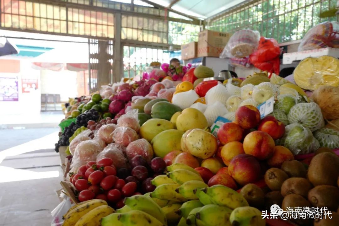 海南大学的回忆,海南大学青春的样子
