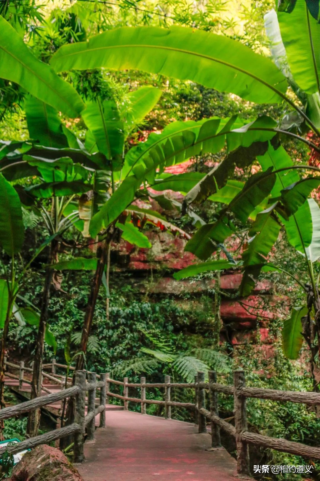 赤水大瀑布 侏罗纪公园 (贵州赤水侏罗纪公园攻略)