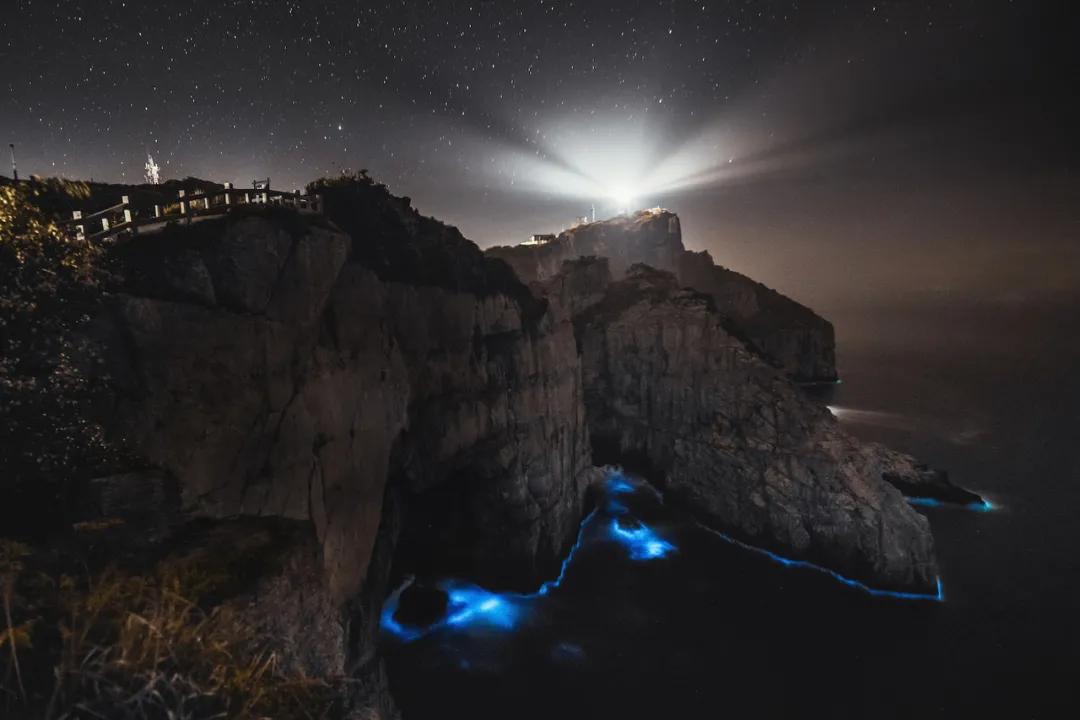 有了这座小县城，封海也封不住浙江人吃海鲜的嘴