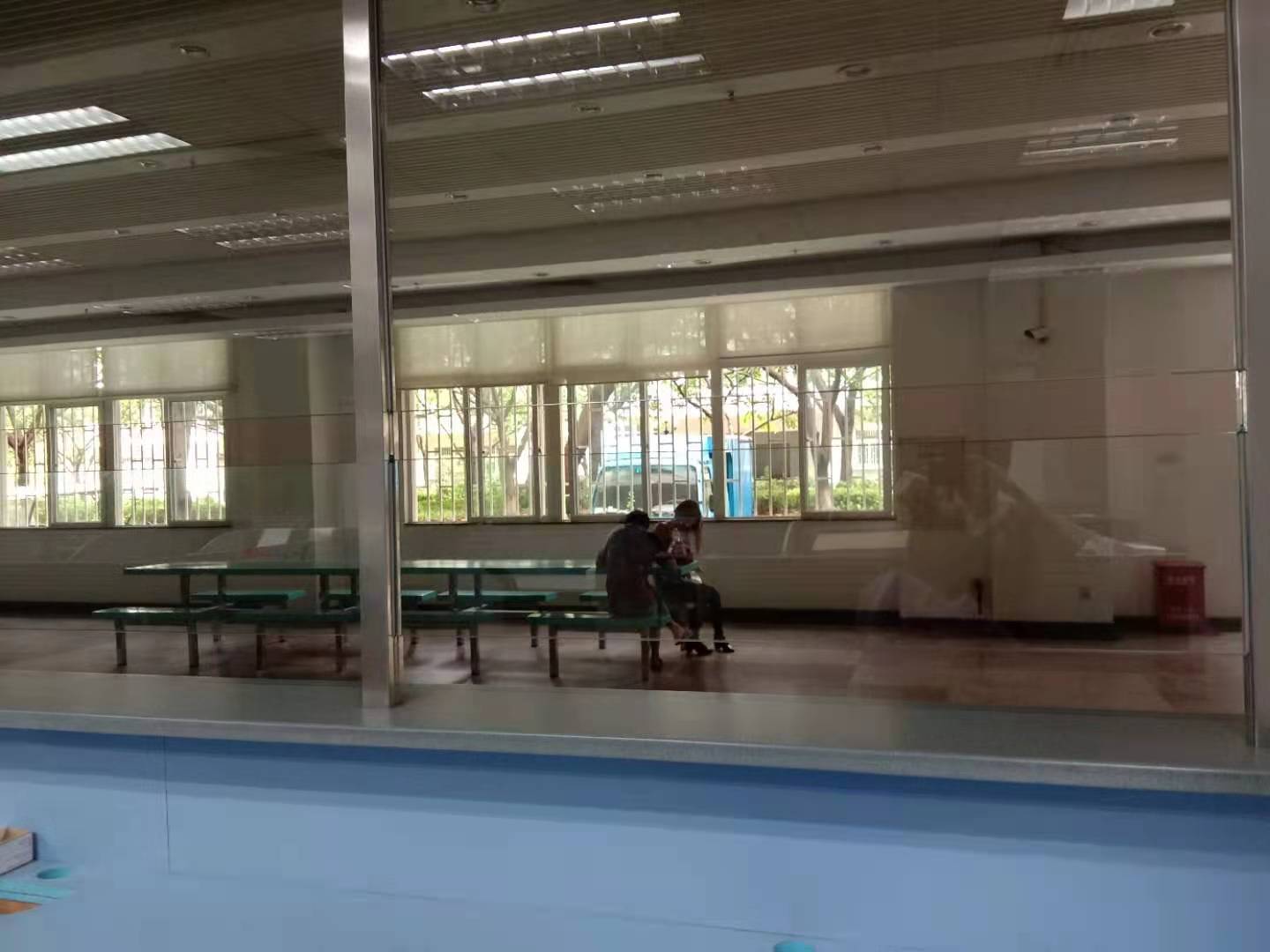 小小鸟第二集,小小鸟完整版原创