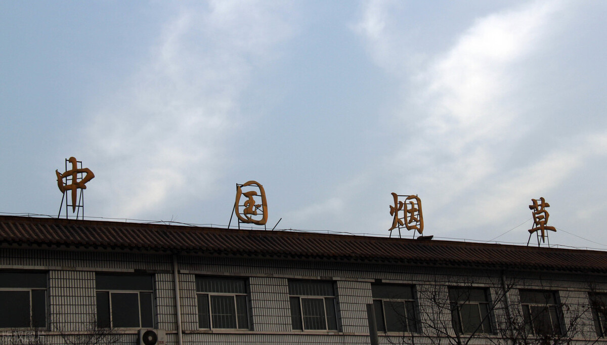 硕士研究生进烟草公司,研究生进烟厂不笔试吗