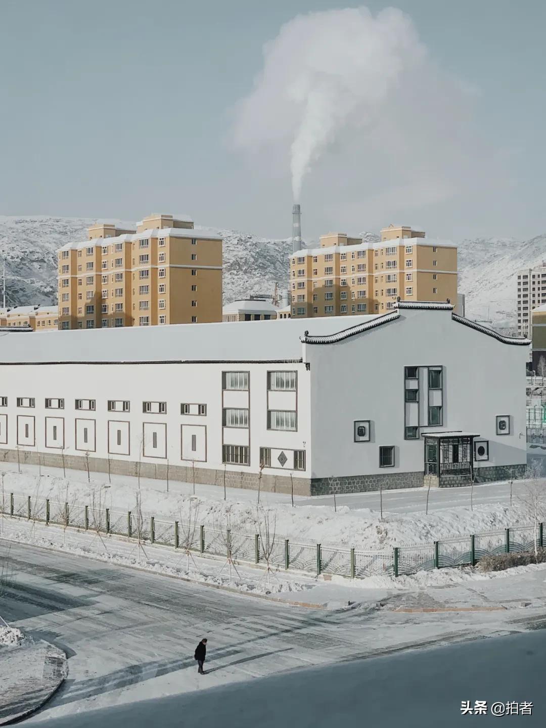 手机摄影天花板机型,手机摄影爱生活