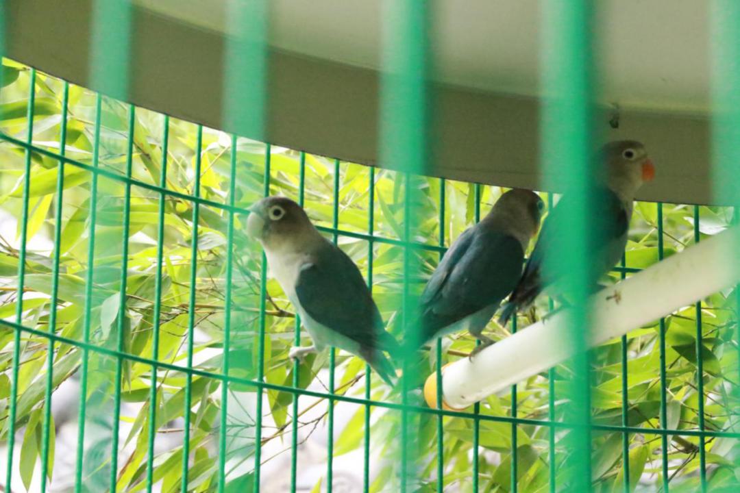 小长假都去哪里旅游好玩,济南金象山乐园