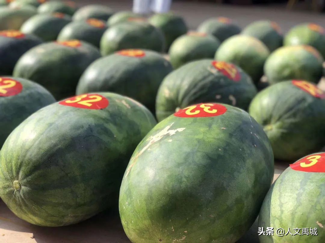 瓜瓜乐最新消息,刮刮乐最新动态