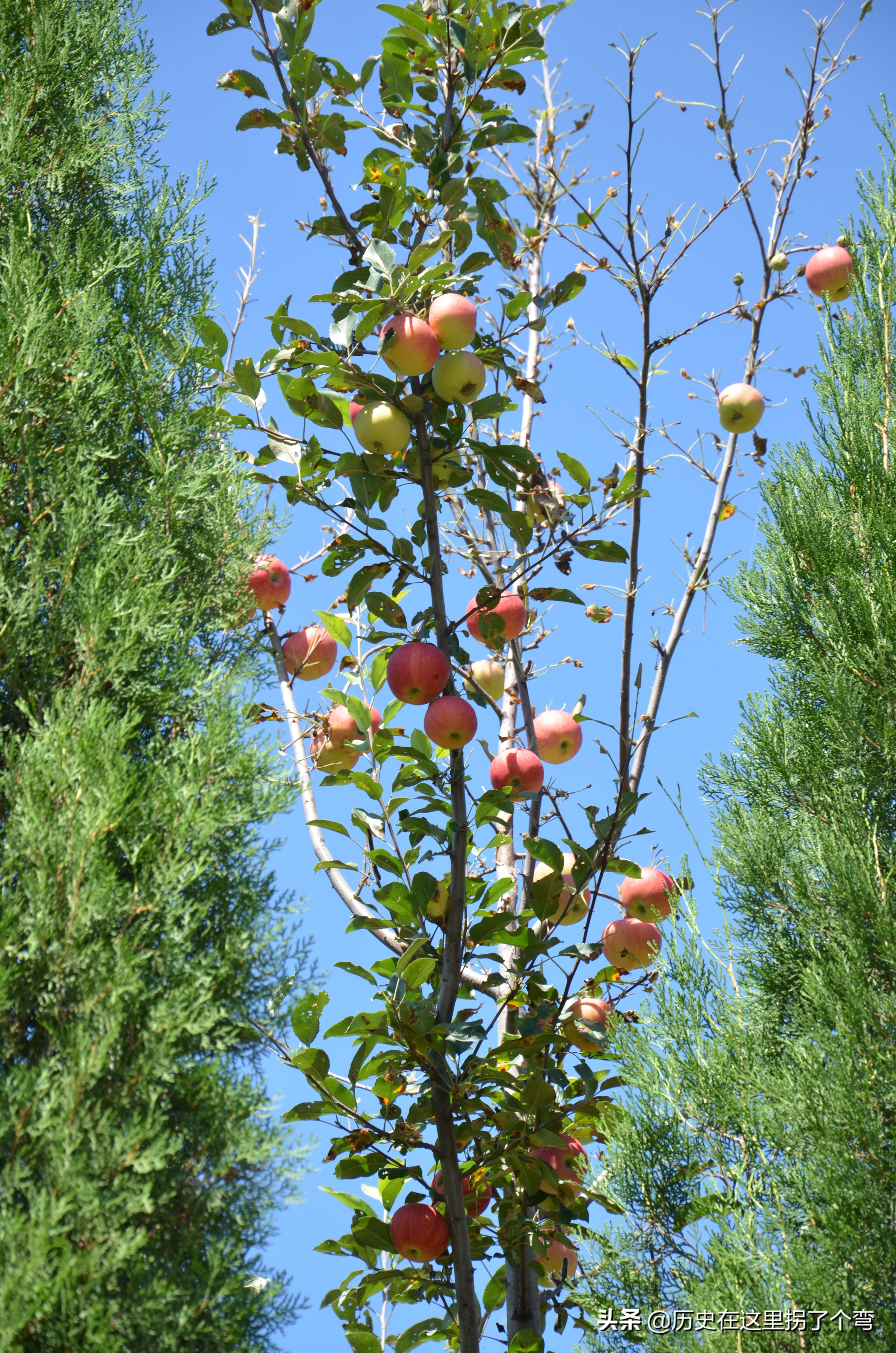 农耕文化一览表,农耕文明源头之十三