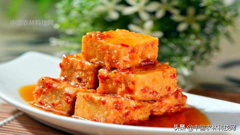 江上琼阁石宝寨!一县一品公益助农,重庆忠县农特产品柑橘