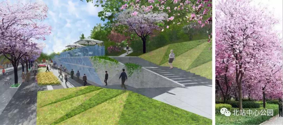 深圳将建8万人专业足球场,全国最大足球公园