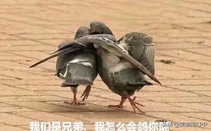 真实的柬埔寨生活,柬埔寨真实生活日常