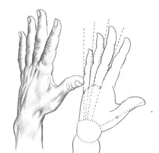 素描临摹初学者入门教程,适合零基础学习的素描入门小教程