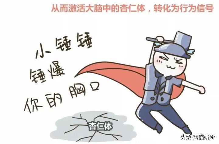 当猫咪第一次吸猫薄荷,猫咪会对薄荷过敏吗