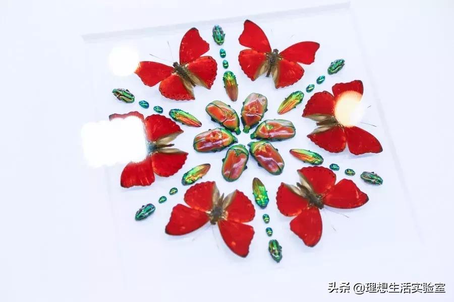 龙湖成都金楠天街,成都龙湖金楠天街哪一期最好