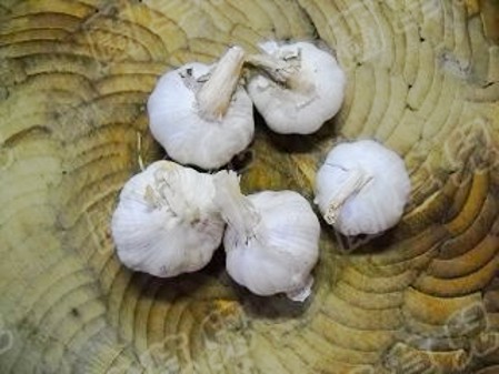 辣椒太多了该怎么吃,辣椒这样吃特别下饭