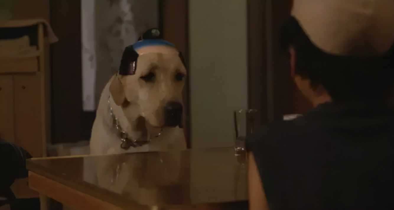 低欲望状态,低欲望的生活心态要怎么摆脱