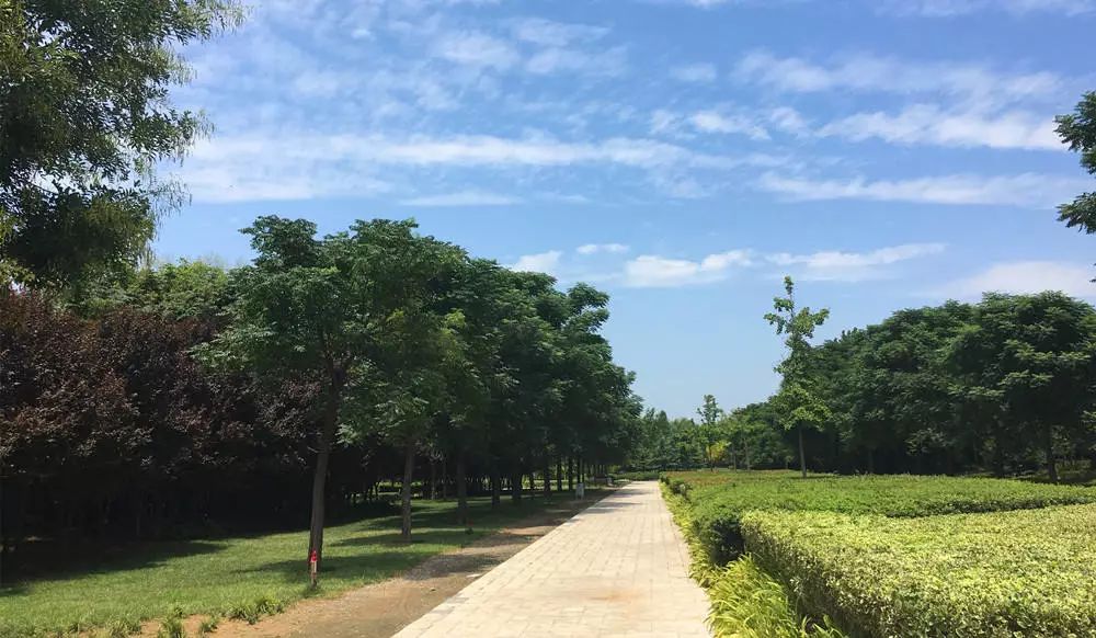 郑州有哪些免费运动场,郑州开放室外运动场地