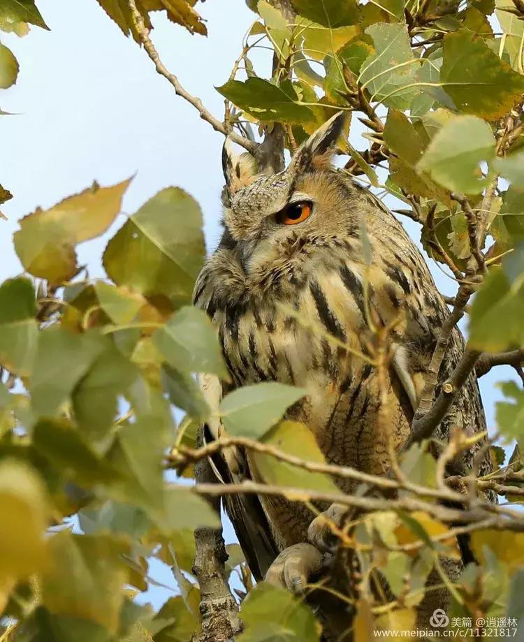 天坛最近发生什么事,北京天坛现在的状况