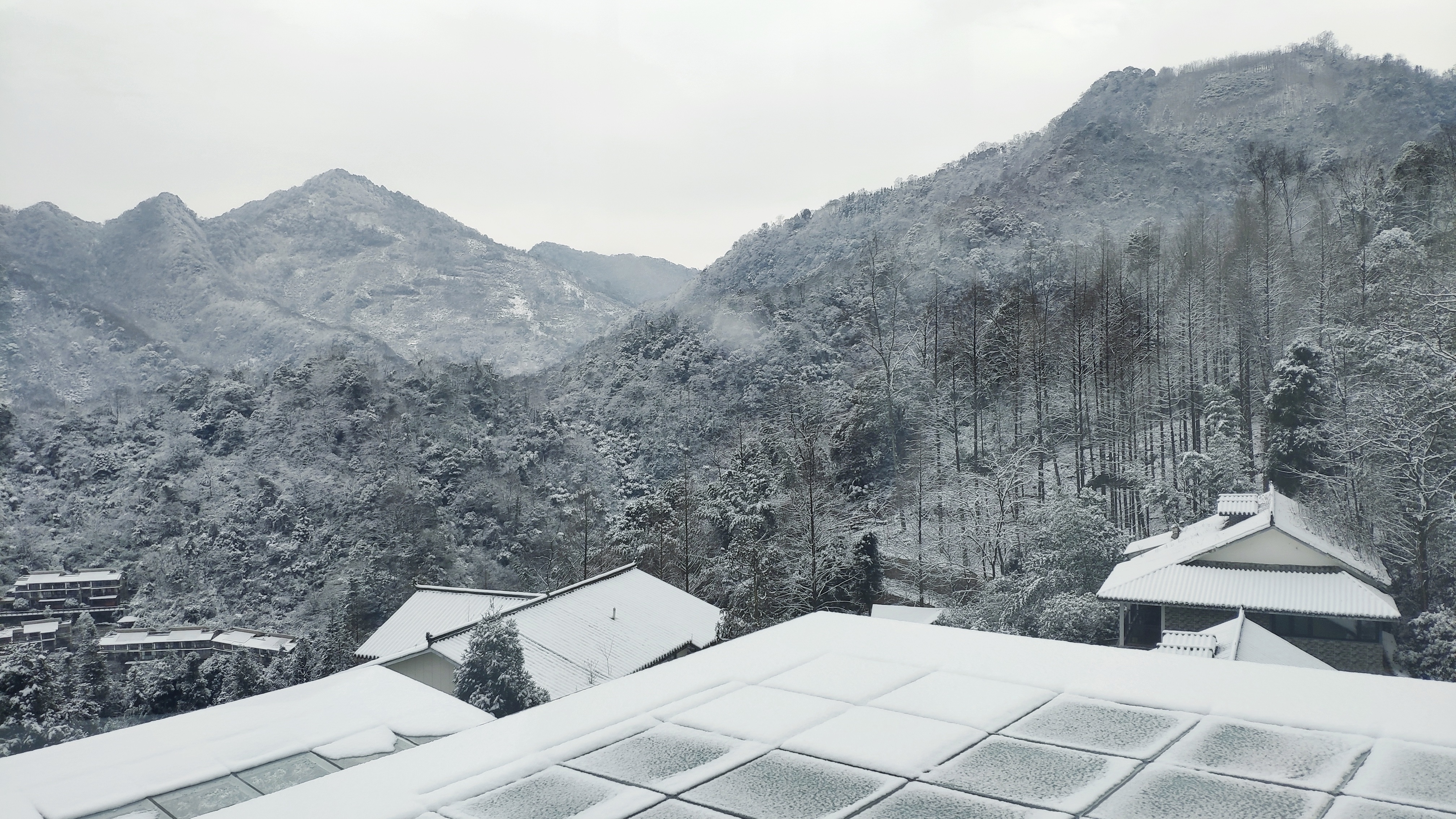 拜道青城山和问道青城山,青城山风景问道