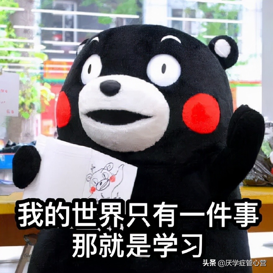 厌学症管心营：情绪抑郁，厌学，生活没有动力怎么办？