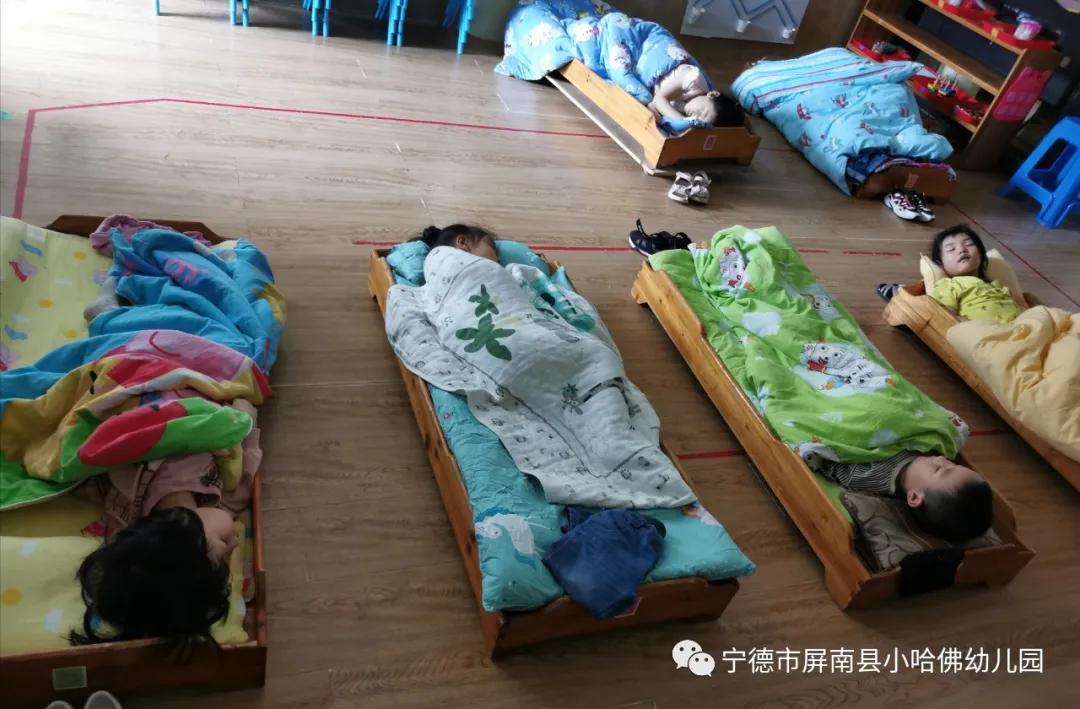 宁德小哈佛幼儿园,宁德蕉城区小哈佛幼儿园