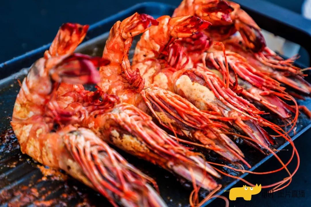 优惠活动vip套餐,河马生活节门票2019