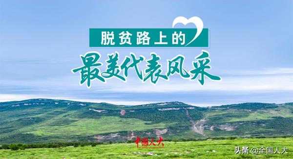 王作英：汗水撒沃土科技铸丰收