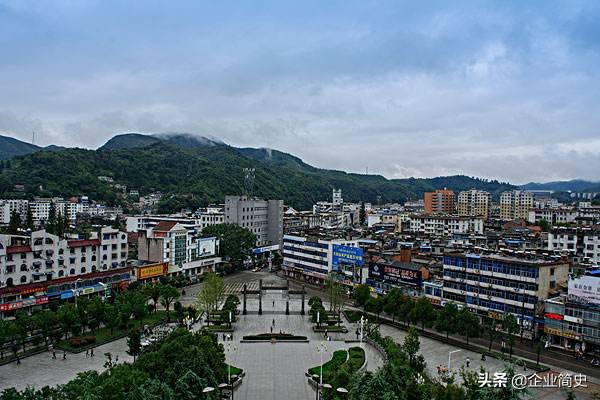 企业发展史及企业文化,雅迪电动车企业历史