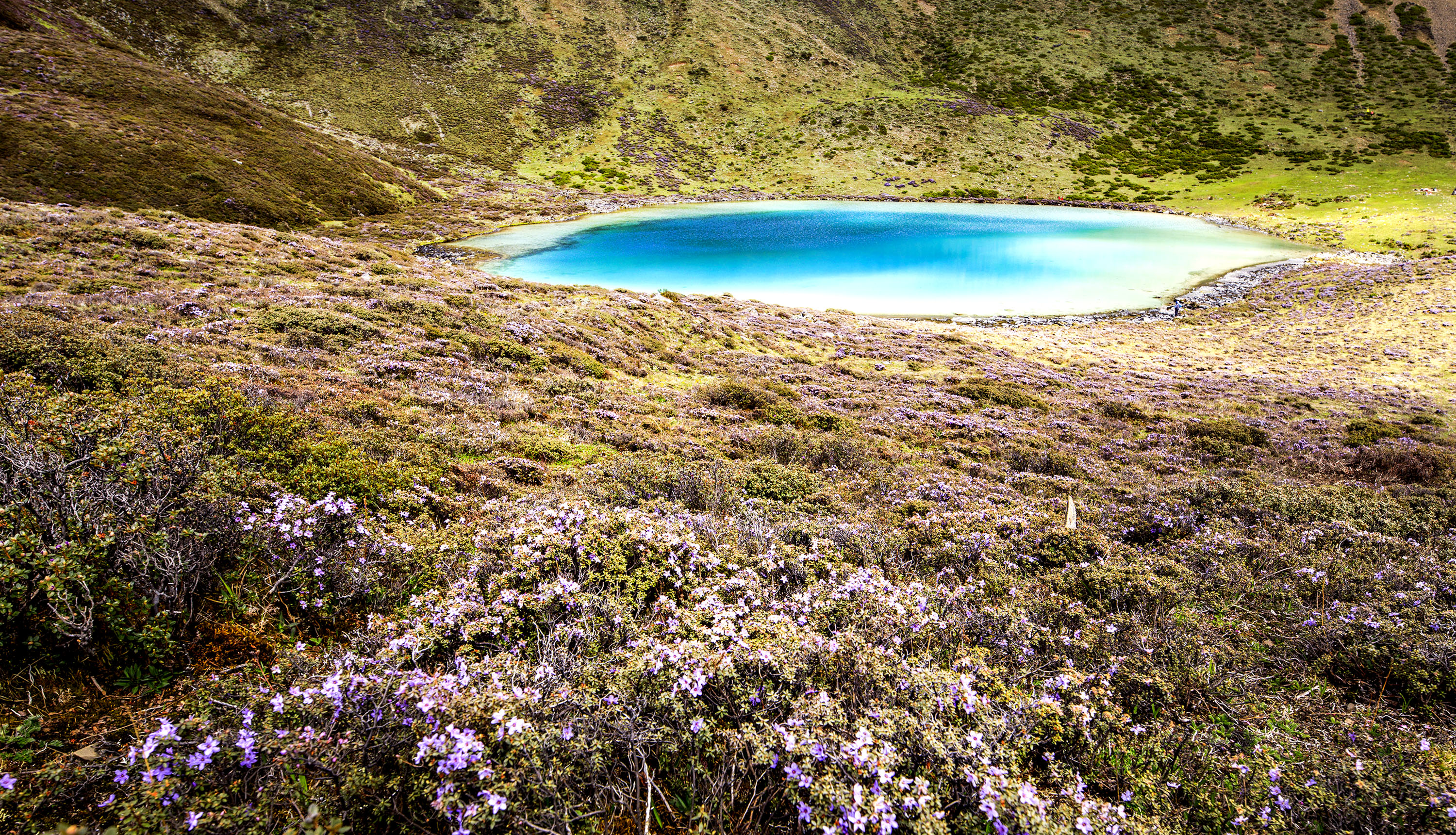 贡嘎雪山自由旅拍,里索海贡嘎雪山全景